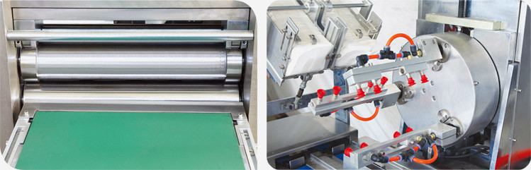 Màquina d'embalatge automàtica horitzontal de coixinet de gel de refrigeració Sb800W